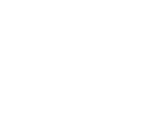 AEO Board