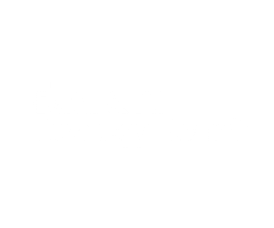 Data & AI Strategy Board