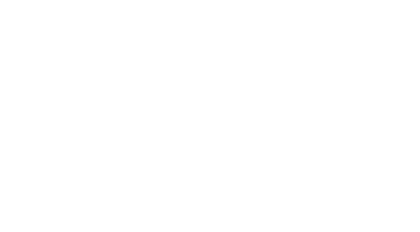 Culture & Experience Board