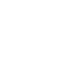 Culture & Experience Board