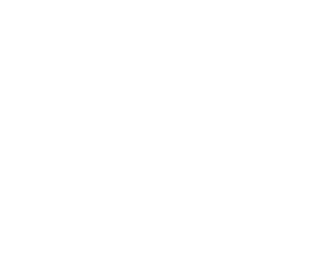 Culture & Experience Board