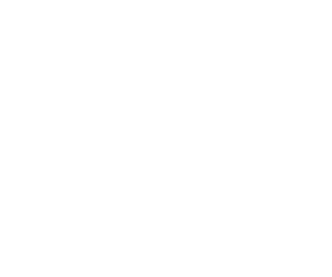 Digital Marketing & Communications Council